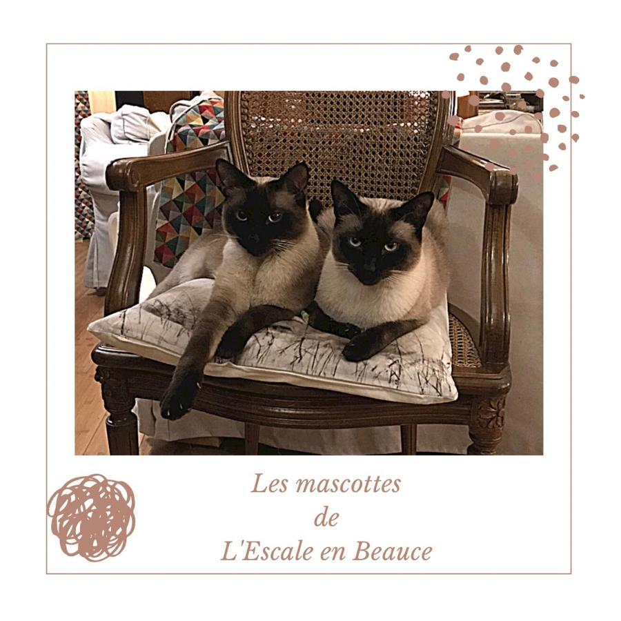 L Escale En Beauce Bed and Breakfast Maisons  Eksteriør billede